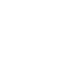 Dinastia