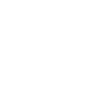 Ginger Bar